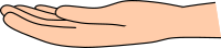 Open hand (light skin)