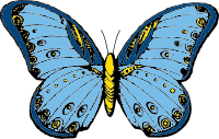 butterfly