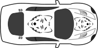 Wolf Paint Job on Car Top View