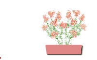 Festive Flowers