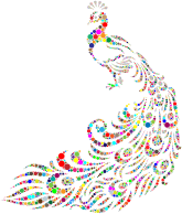 Colorful Peacock Circles