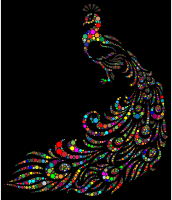 Colorful Peacock Circles With Background