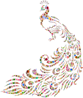 Colorful Peacock Circles 2