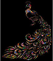 Colorful Peacock Circles 2 With Background