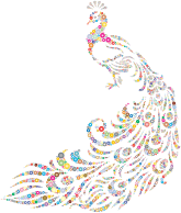 Colorful Peacock Circles 3