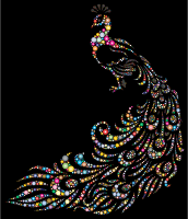 Colorful Peacock Circles 3 With Background
