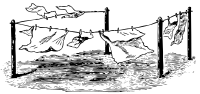 clothes line