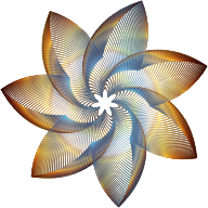 Prismatic Flower Line Art No Background