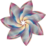 Prismatic Flower Line Art 3 No Background