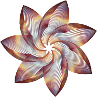 Prismatic Flower Line Art 5 No Background