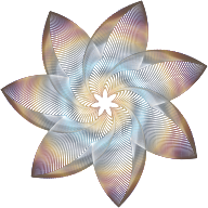Prismatic Flower Line Art 6 No Background