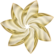 Prismatic Flower Line Art 10 No Background