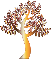 Simple Prismatic Tree 8 Without Background
