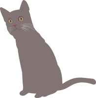 Courious cat