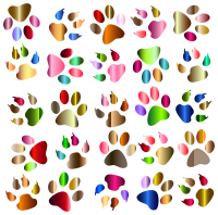 Colorful Paw Prints Pattern Background Reinvigorated No Black background