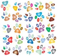 Colorful Paw Prints Pattern Background Reinvigorated 2 No Black background