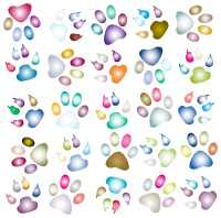 Colorful Paw Prints Pattern Background Reinvigorated 3 No Black background