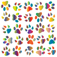 Colorful Paw Prints Pattern Background Reinvigorated 4 No Black background