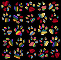 Colorful Paw Prints Pattern Background Reinvigorated 5