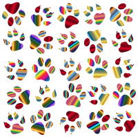 Colorful Paw Prints Pattern Background Reinvigorated 5 No Black background