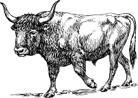 aurochs
