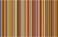 Vibrant Vertical Stripes 11