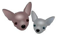 Two Chihuahuas