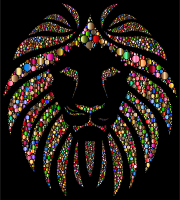 Colorful Lion Circles 4