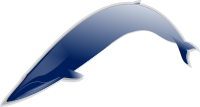 Whale