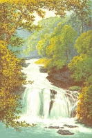 Corra Linn