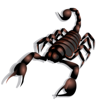 Scorpion