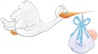 Stork Carrying Baby Boy