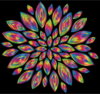 Chromatic Flower Petals 11 With Background