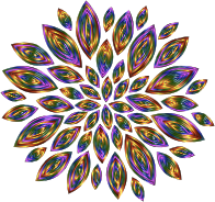 Chromatic Flower Petals 12