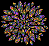 Chromatic Flower Petals 12 With Background