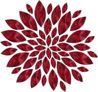 Chromatic Flower Petals 13