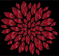 Chromatic Flower Petals 13 With Background