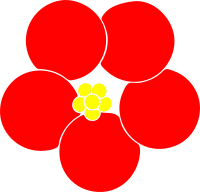 White-edged Poppy