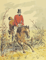 Horse and rider 5