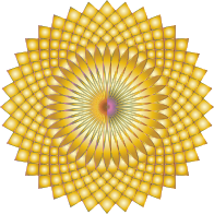 Prismatic Lotus Bloom 8