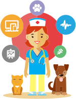 Veterinarian