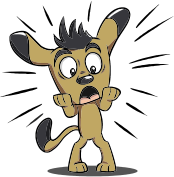 Surprised Puppy
