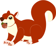 Red Squirrel