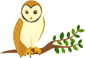 Perched Owl