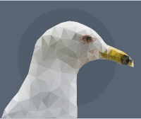 Low Poly Sea Gull