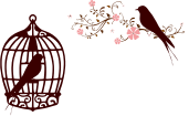 Floral Birds Silhouette No Background