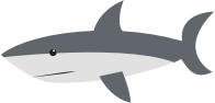 Cartoon Shark