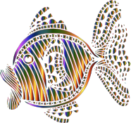 Abstract Colorful Fish 9
