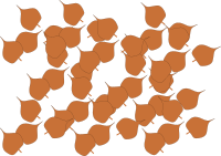 autumn leaves