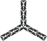 Trendy Boomerang